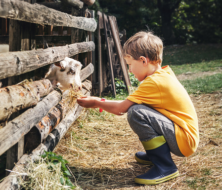 Ferme collaborative