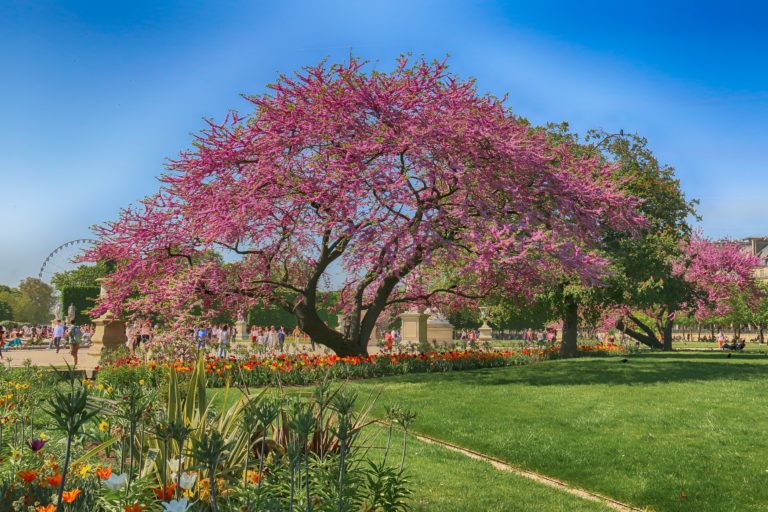 Paris et ses jardins