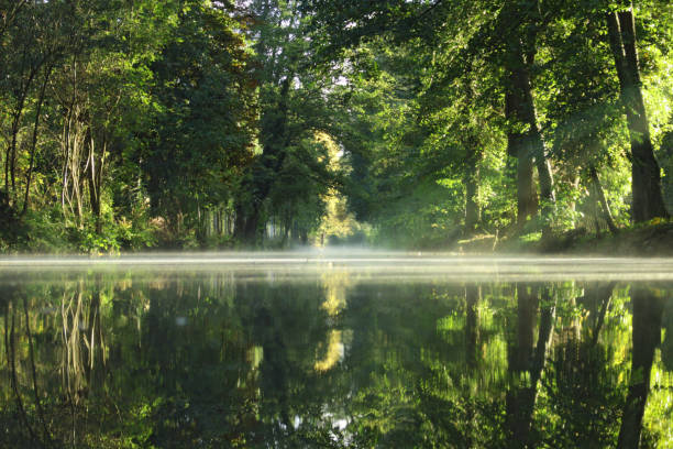 Parc naturel du Marais Poitevin