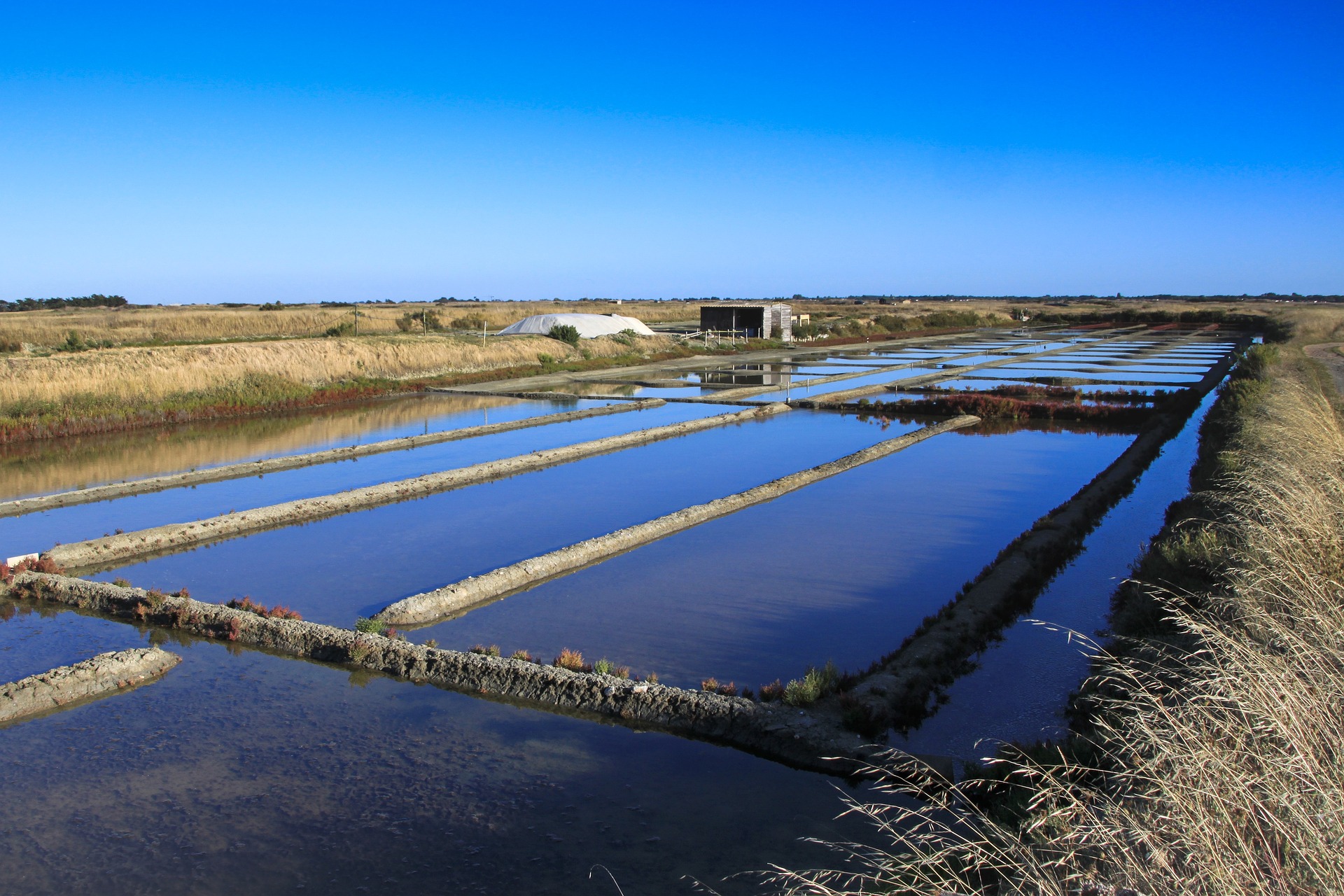 Maarais Salant, Noirmoutier