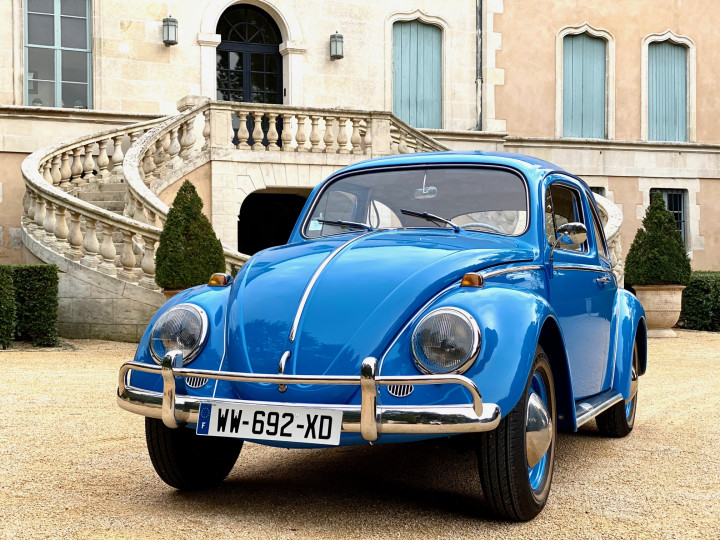 Coccinelle Volksvagen