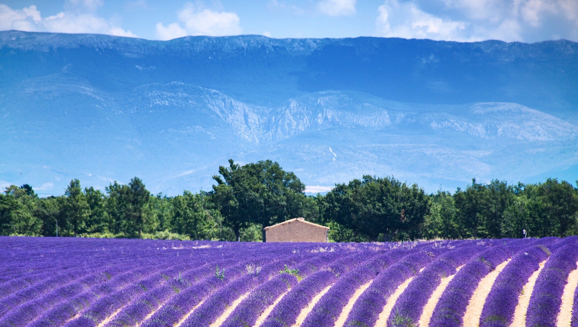 valensole village en Provence