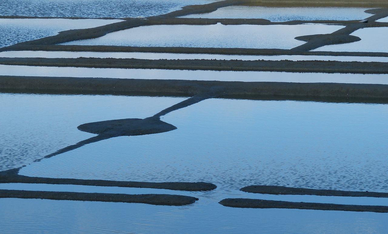 les marais salant de Guérande en Vendée