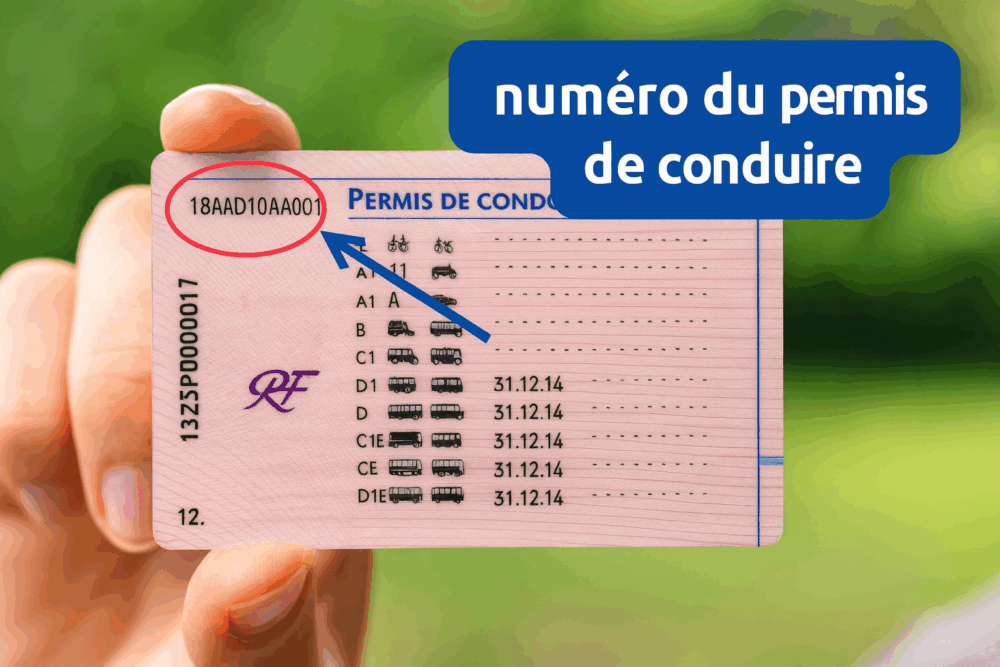 numéro permis de conduire