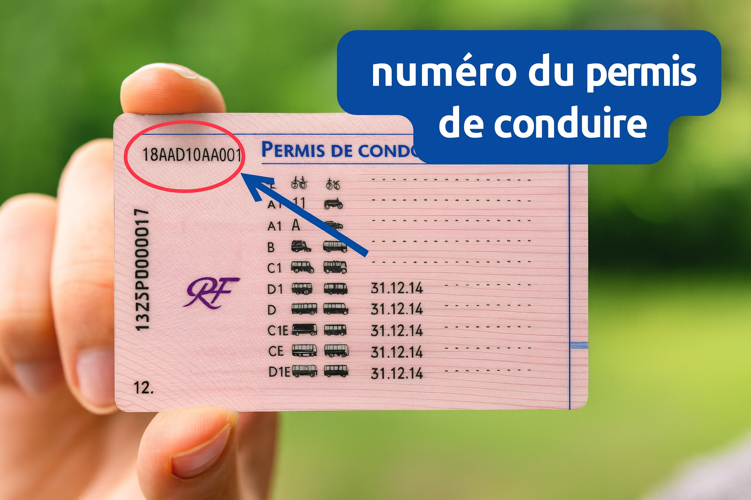 Comment Lire Le Nouveau Permis De Conduire Europ en Comment Lire Le Nouveau Permis De Conduire Europ en